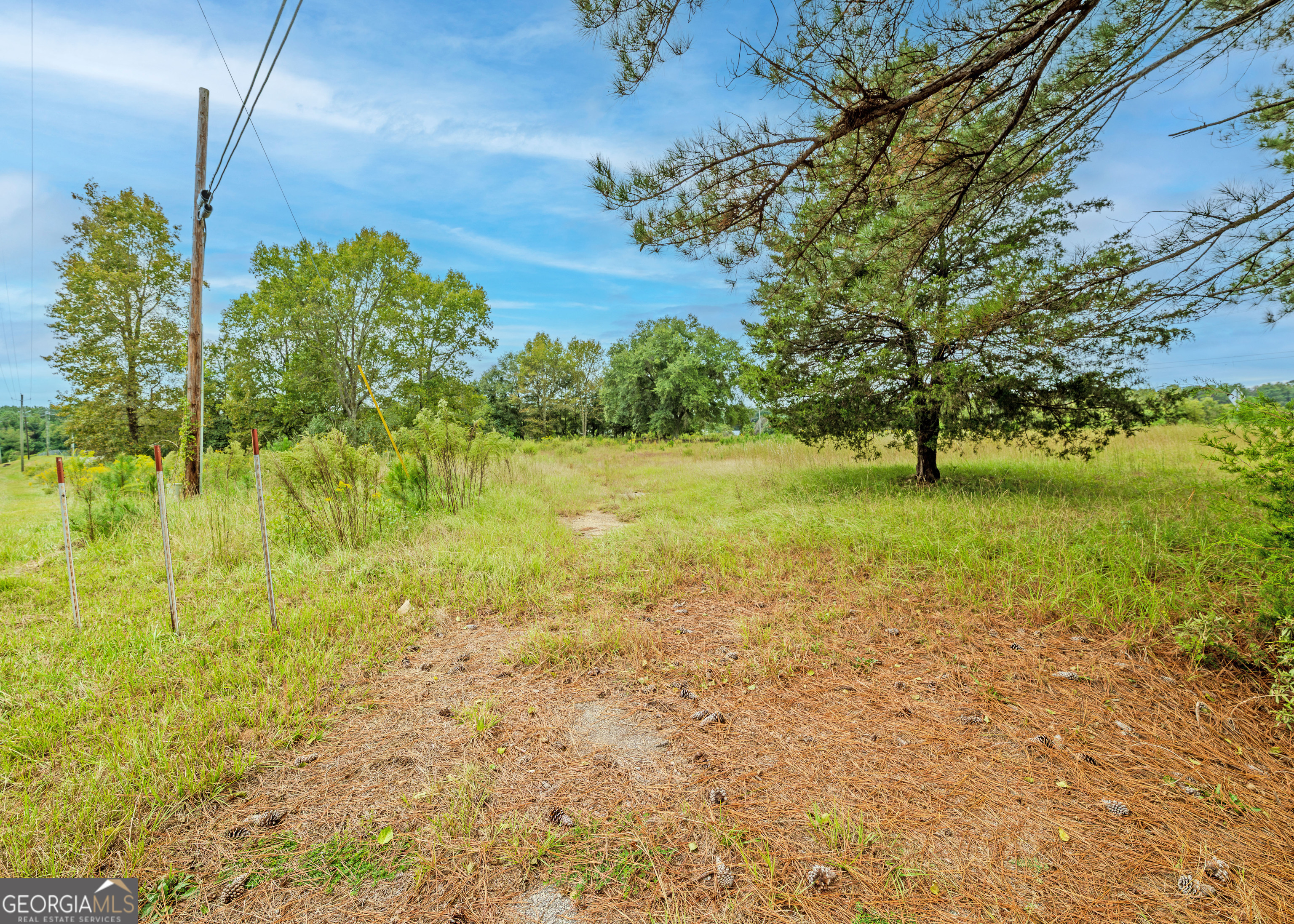 Tract 1.73 Highway 59 Property Photo 6