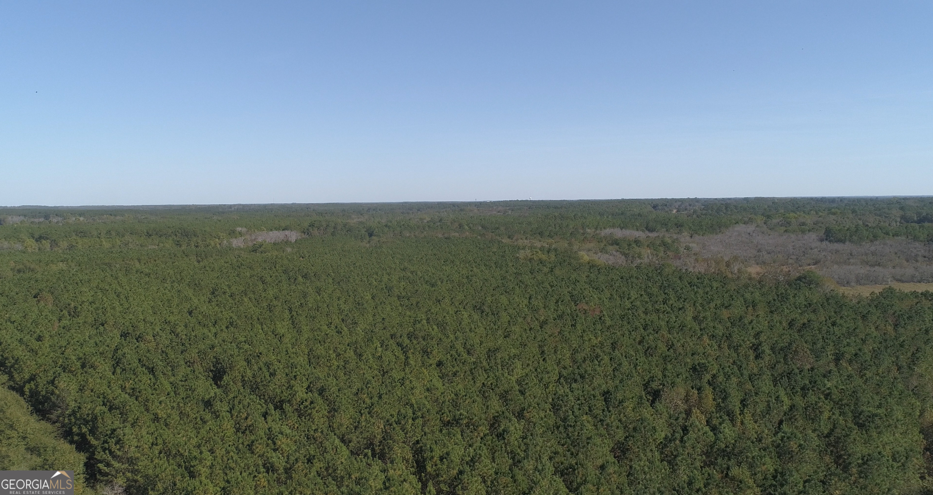 2202 Kennedy Bridge Road Property Photo 6
