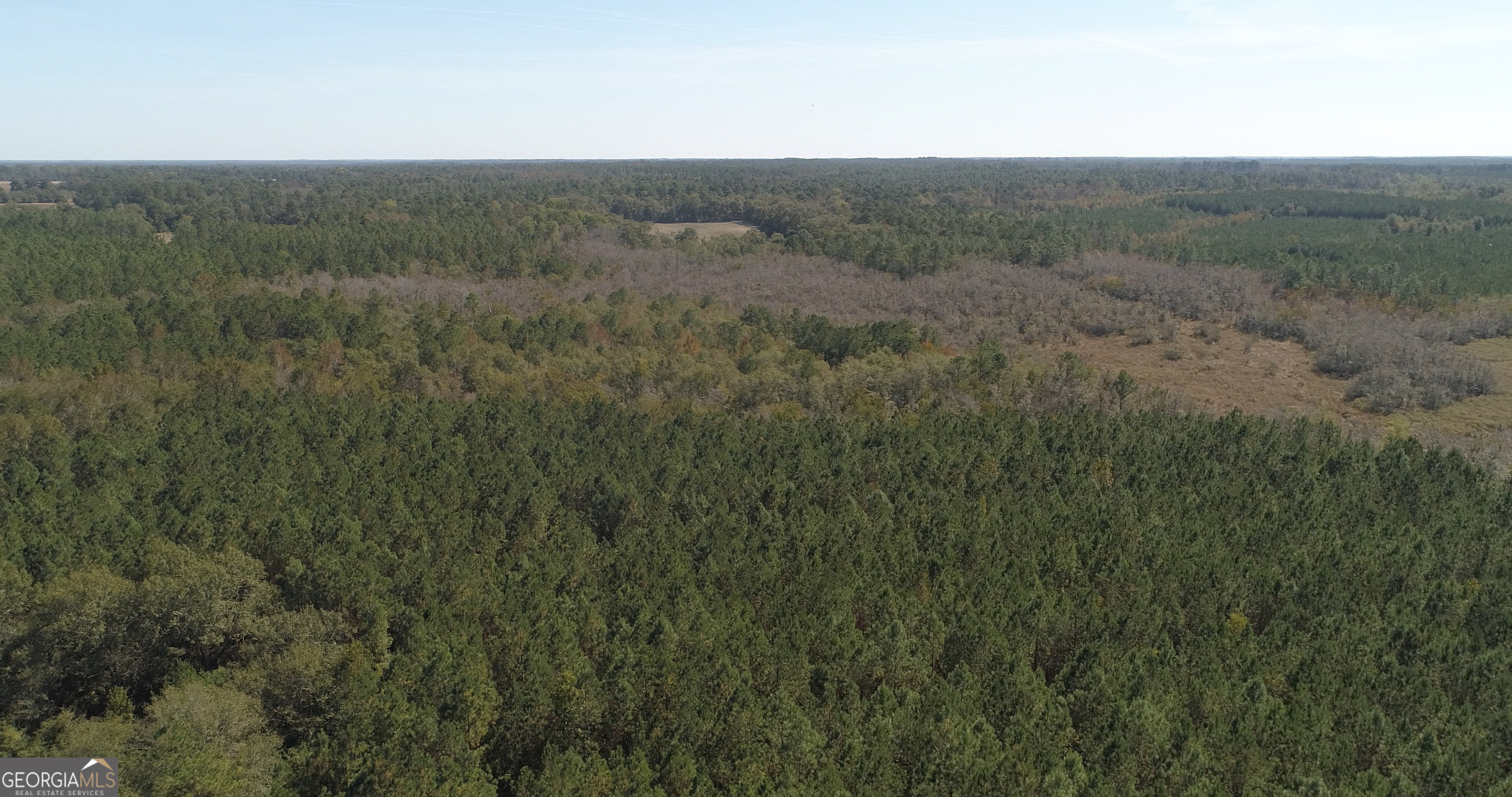 2202 Kennedy Bridge Road Property Photo 9