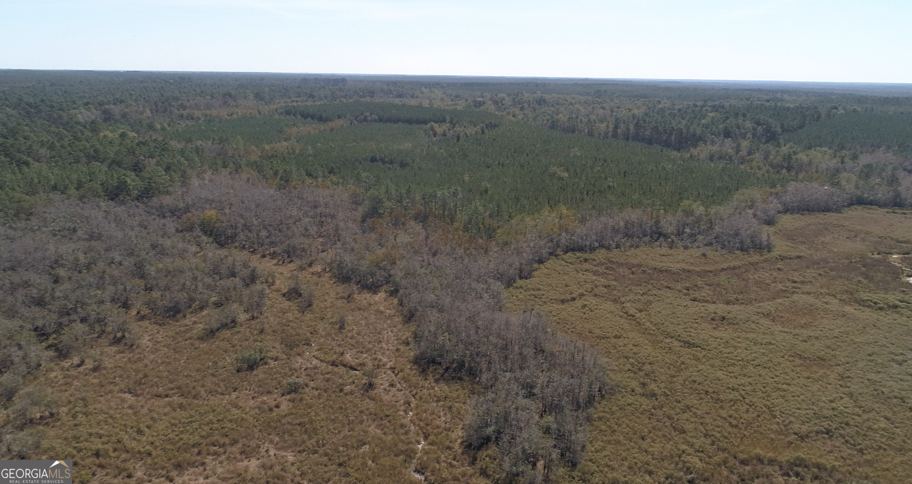 2202 Kennedy Bridge Road Property Photo 11