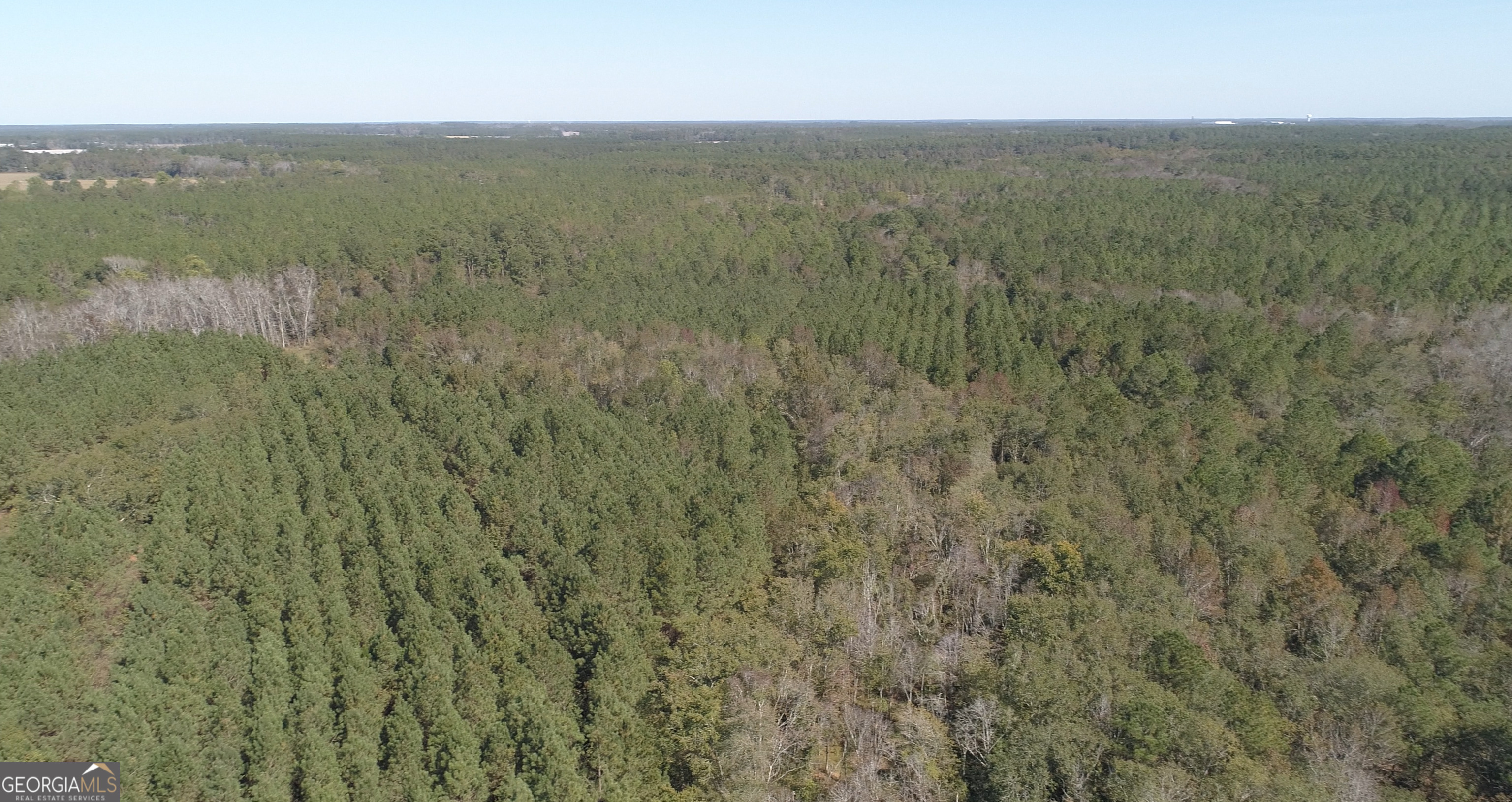 2202 Kennedy Bridge Road Property Photo 12