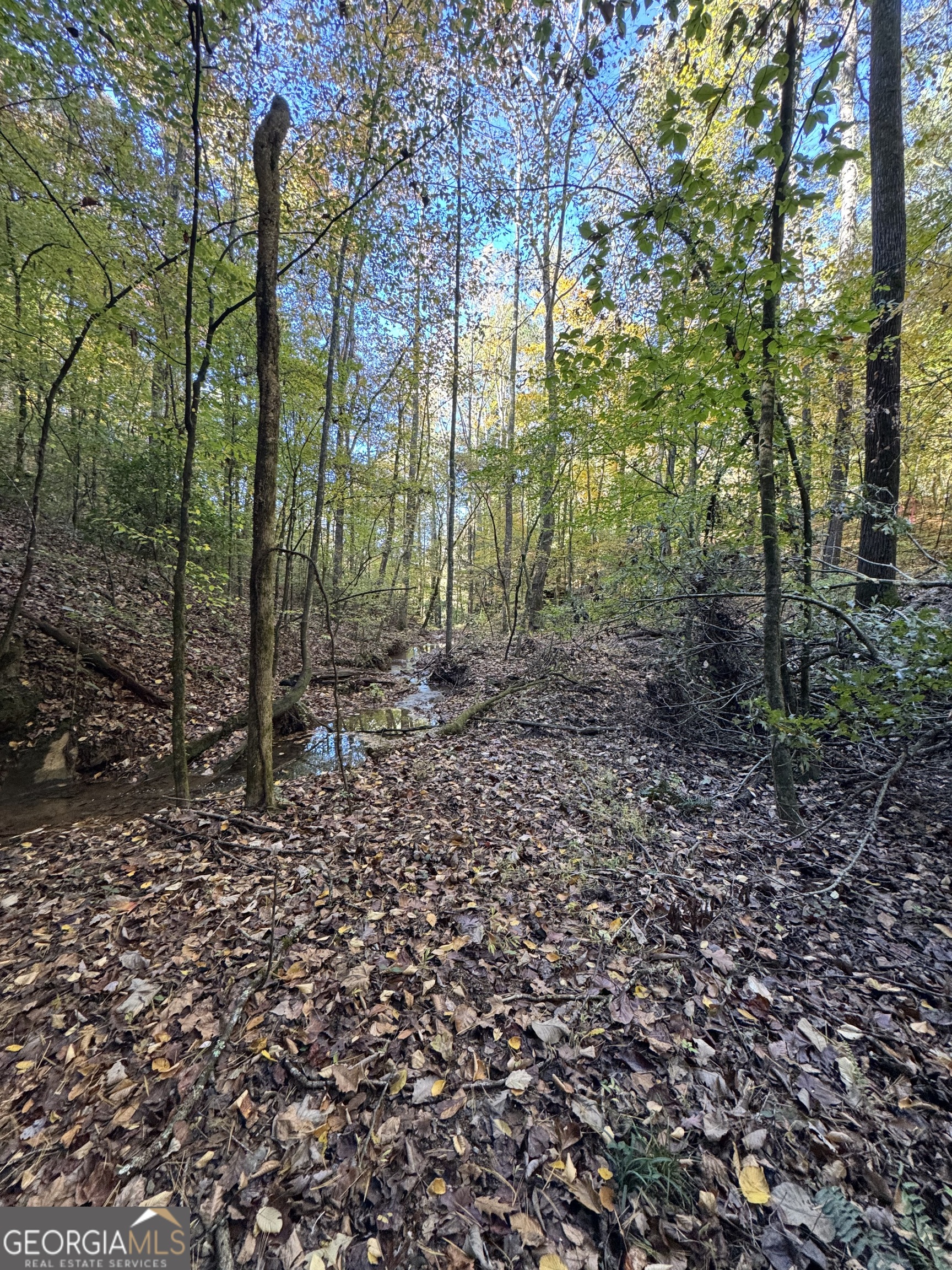 150 Babcock Road Property Photo 1