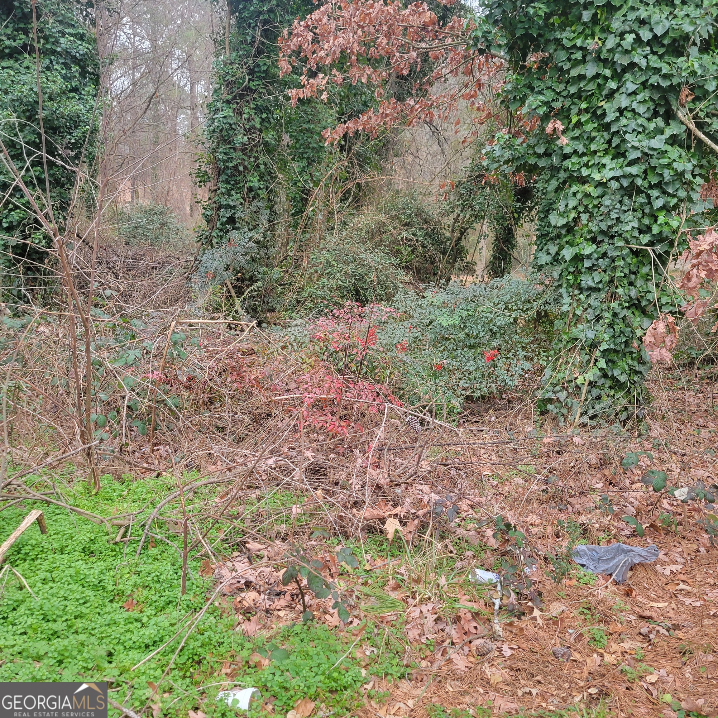 4682 Pine Circle Property Photo 4