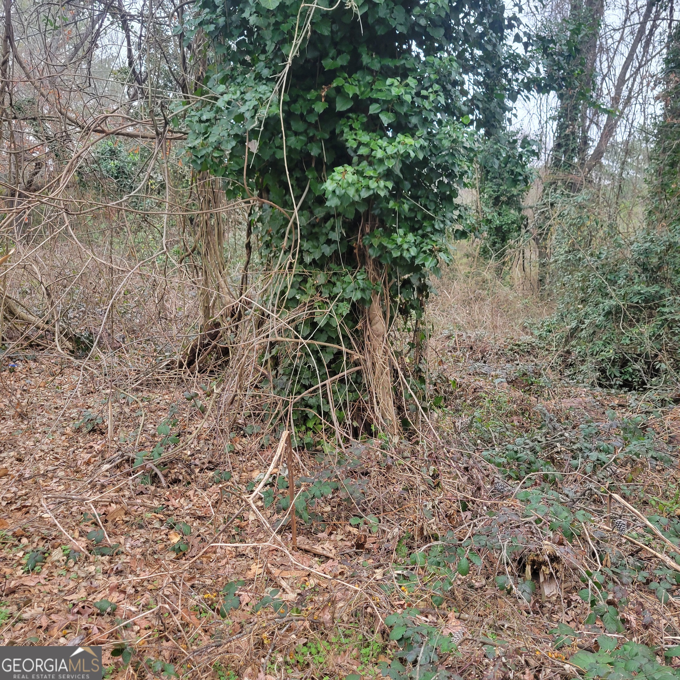 4682 Pine Circle Property Photo 5