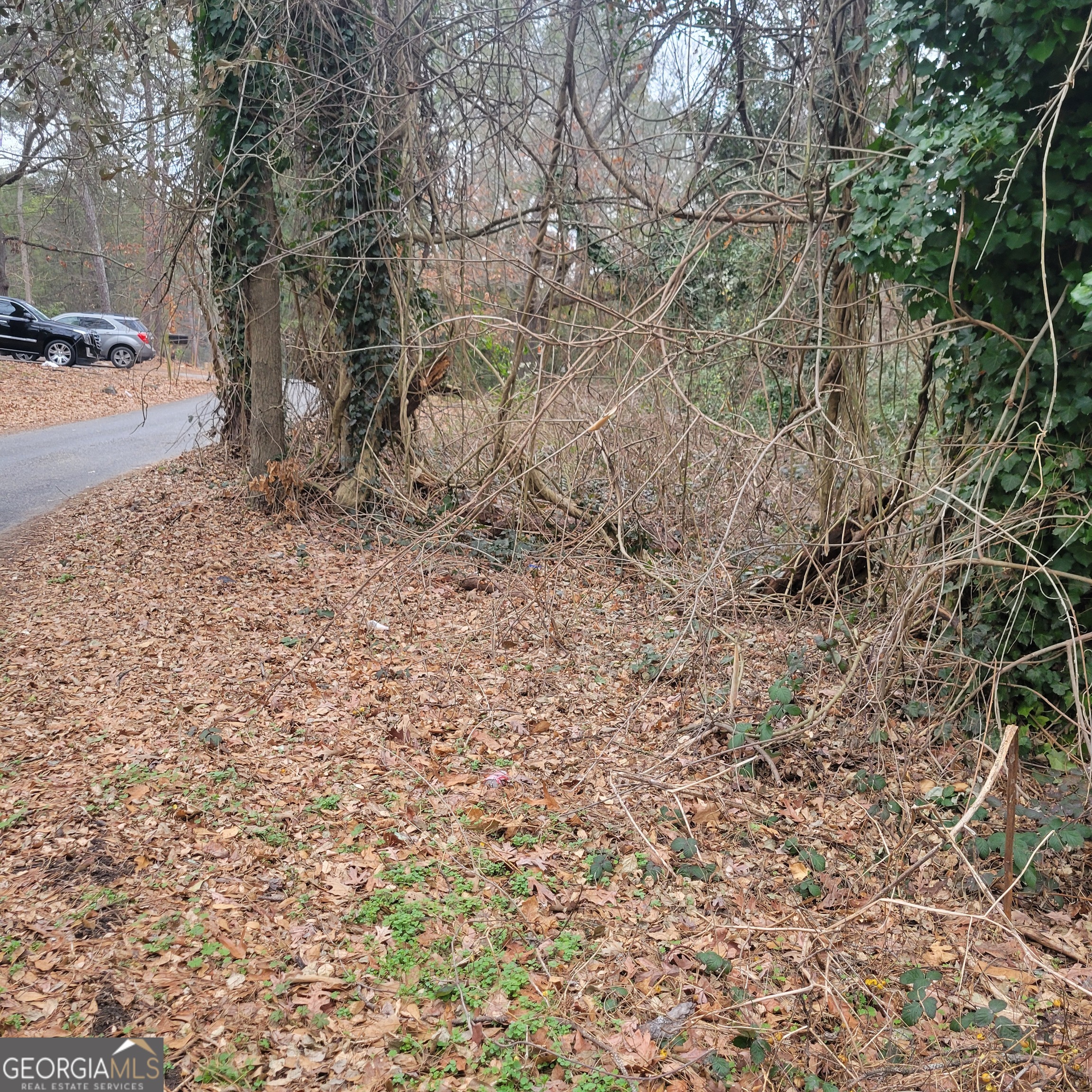 4682 Pine Circle Property Photo 6