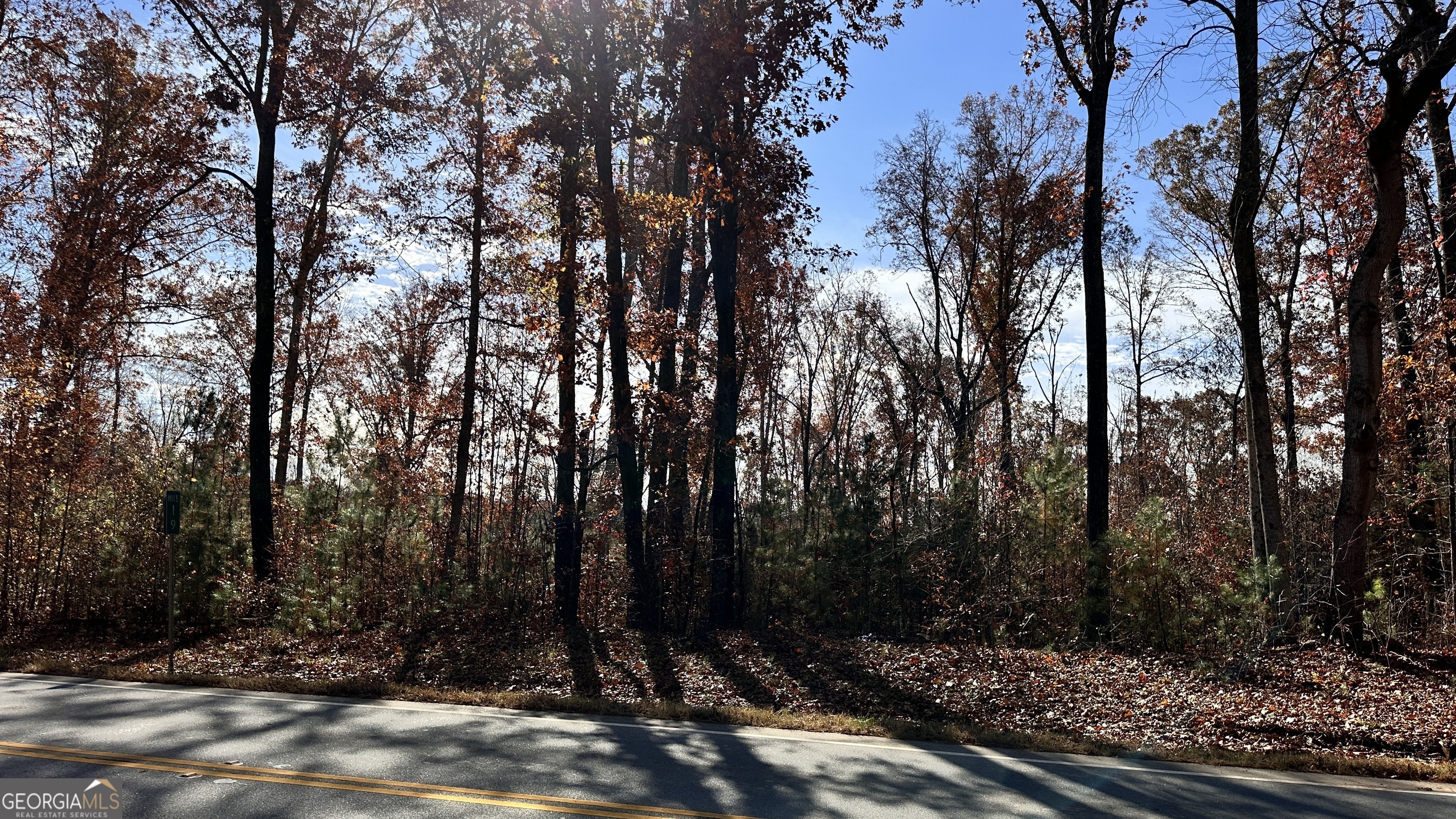 43 Acres Ivey Springs Property Photo 2