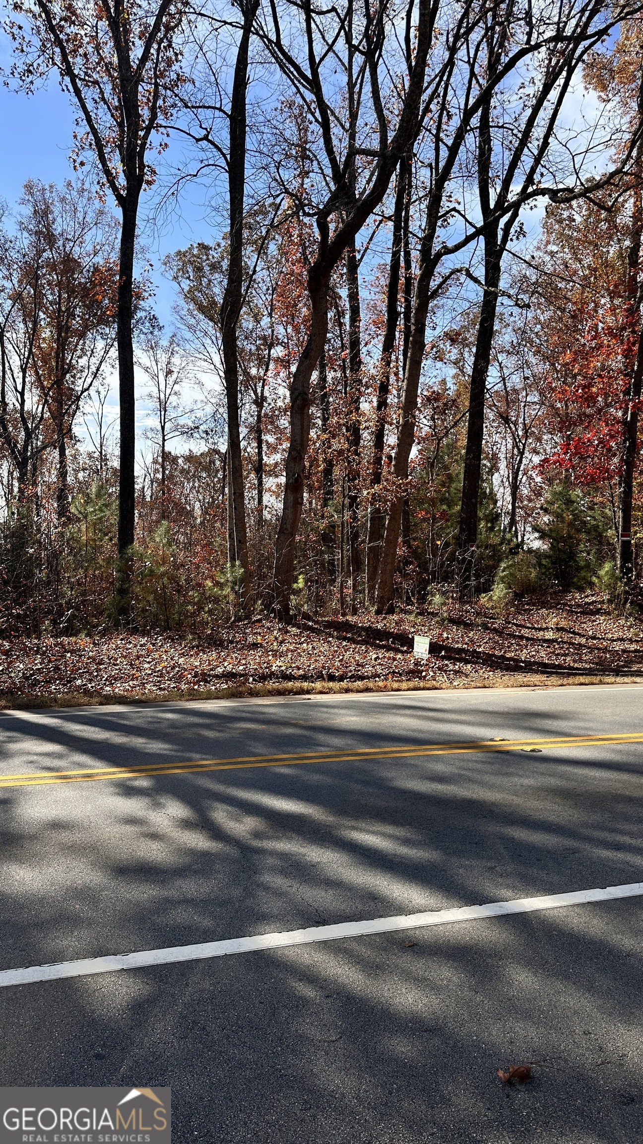 43 Acres Ivey Springs Property Photo 3