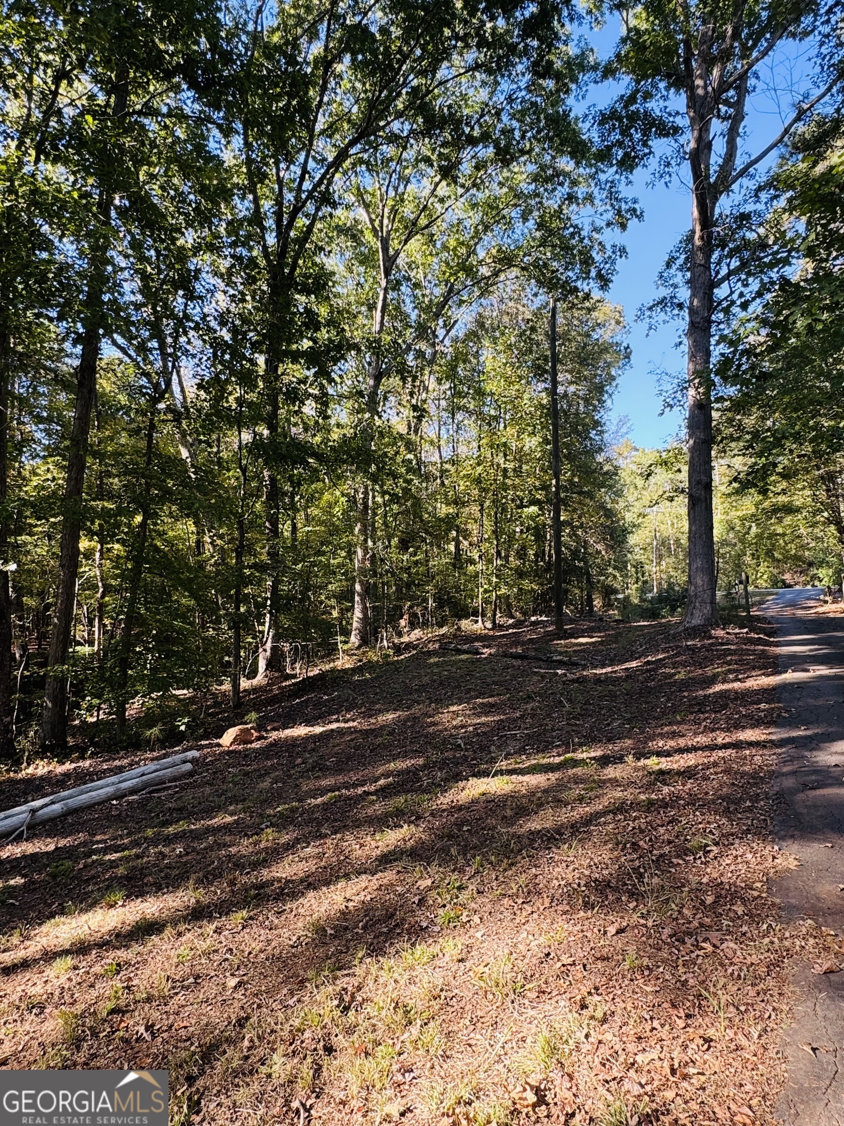 1516 Stark Road Property Photo 4