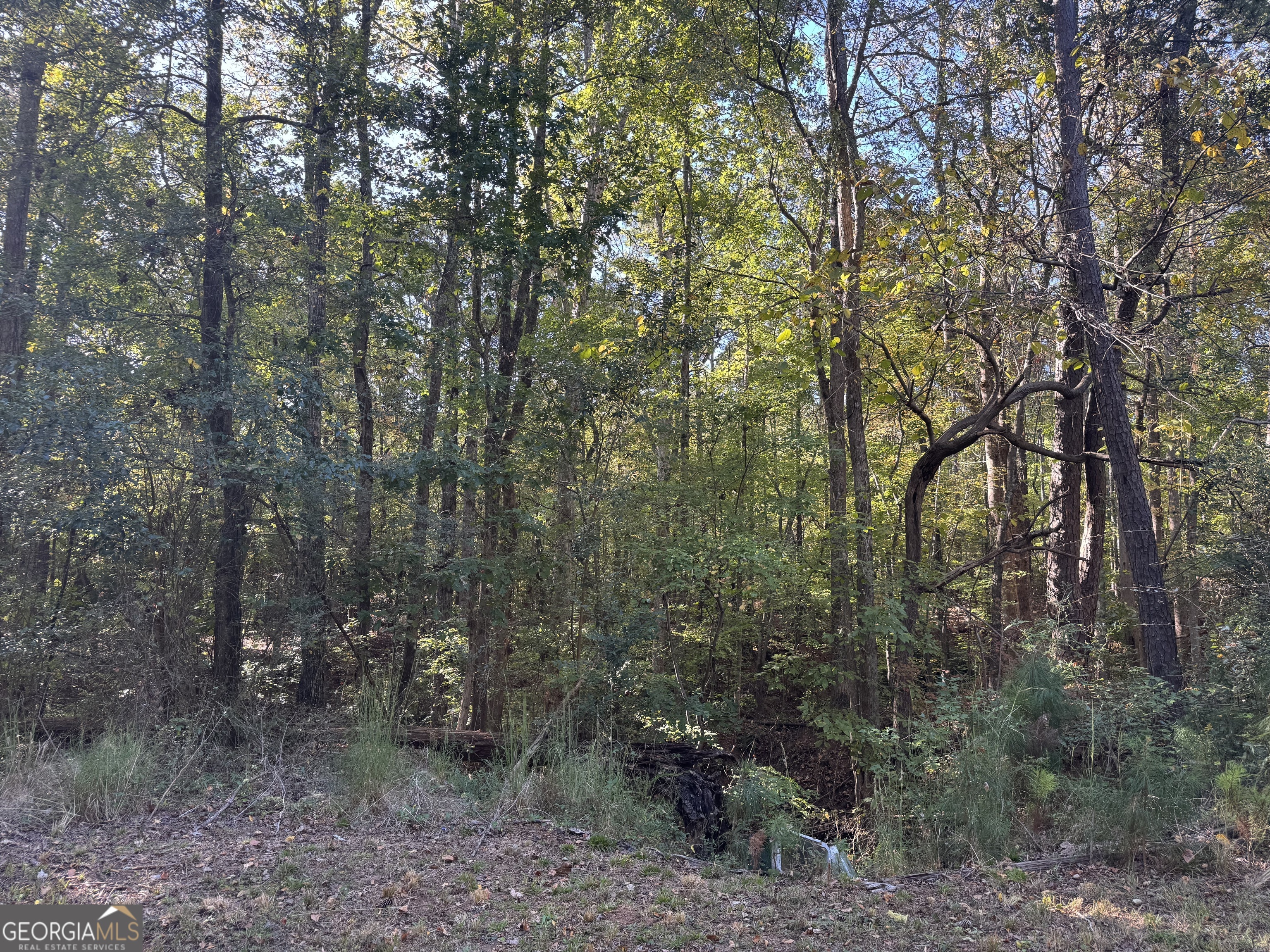 1516 Stark Road Property Photo 28