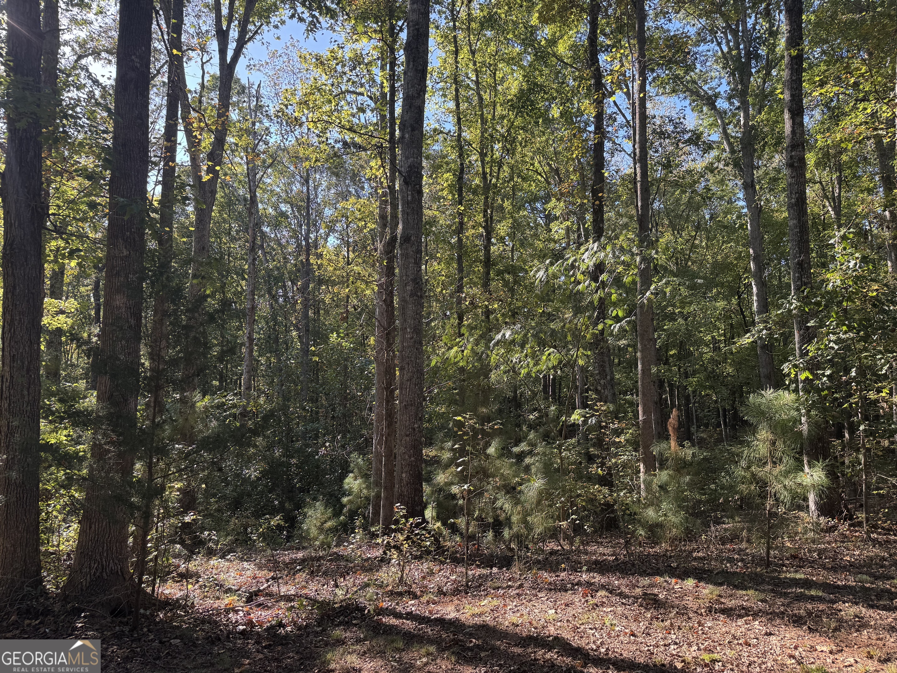 1516 Stark Road Property Photo 29