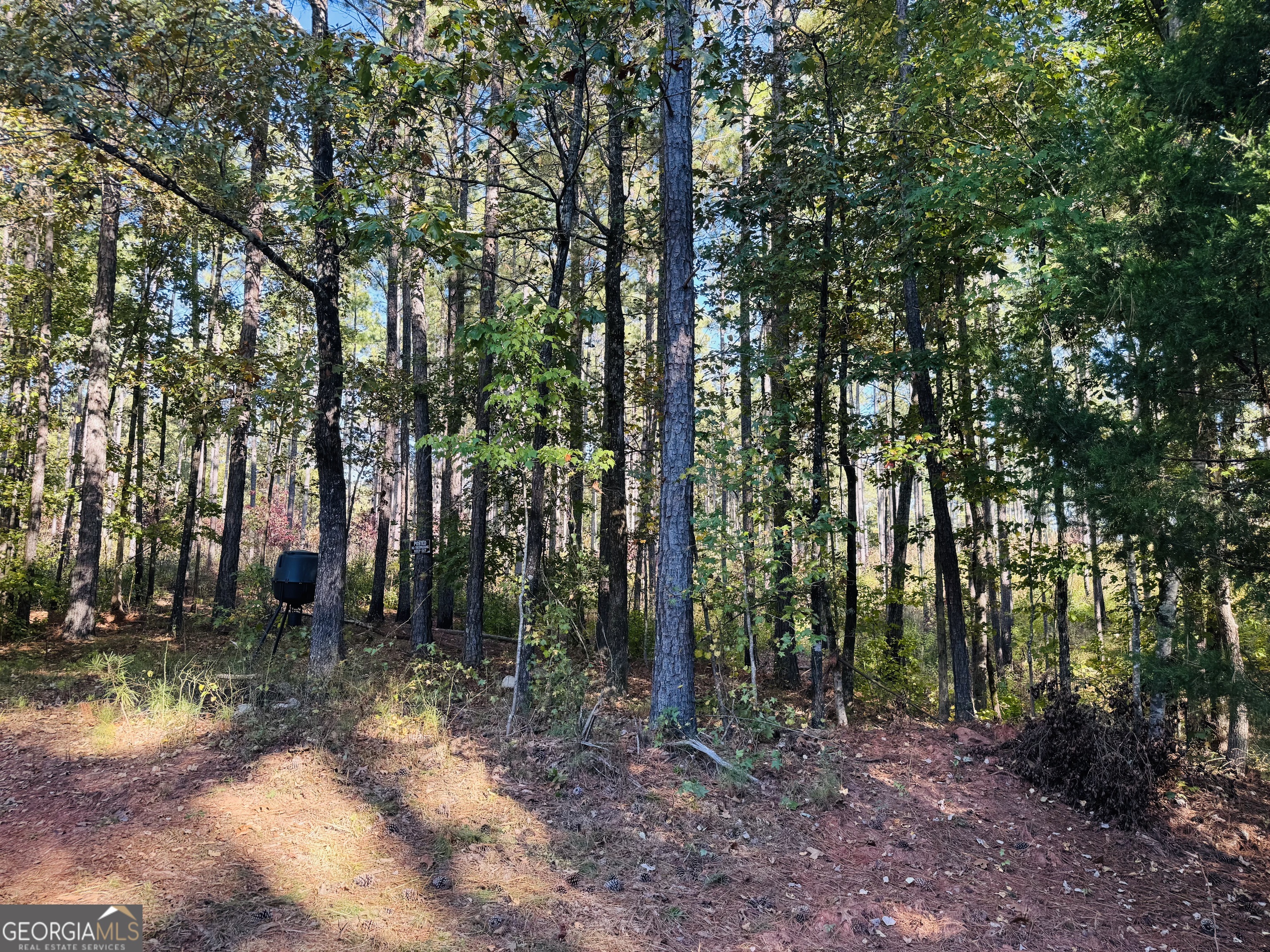1516 Stark Road Property Photo 32