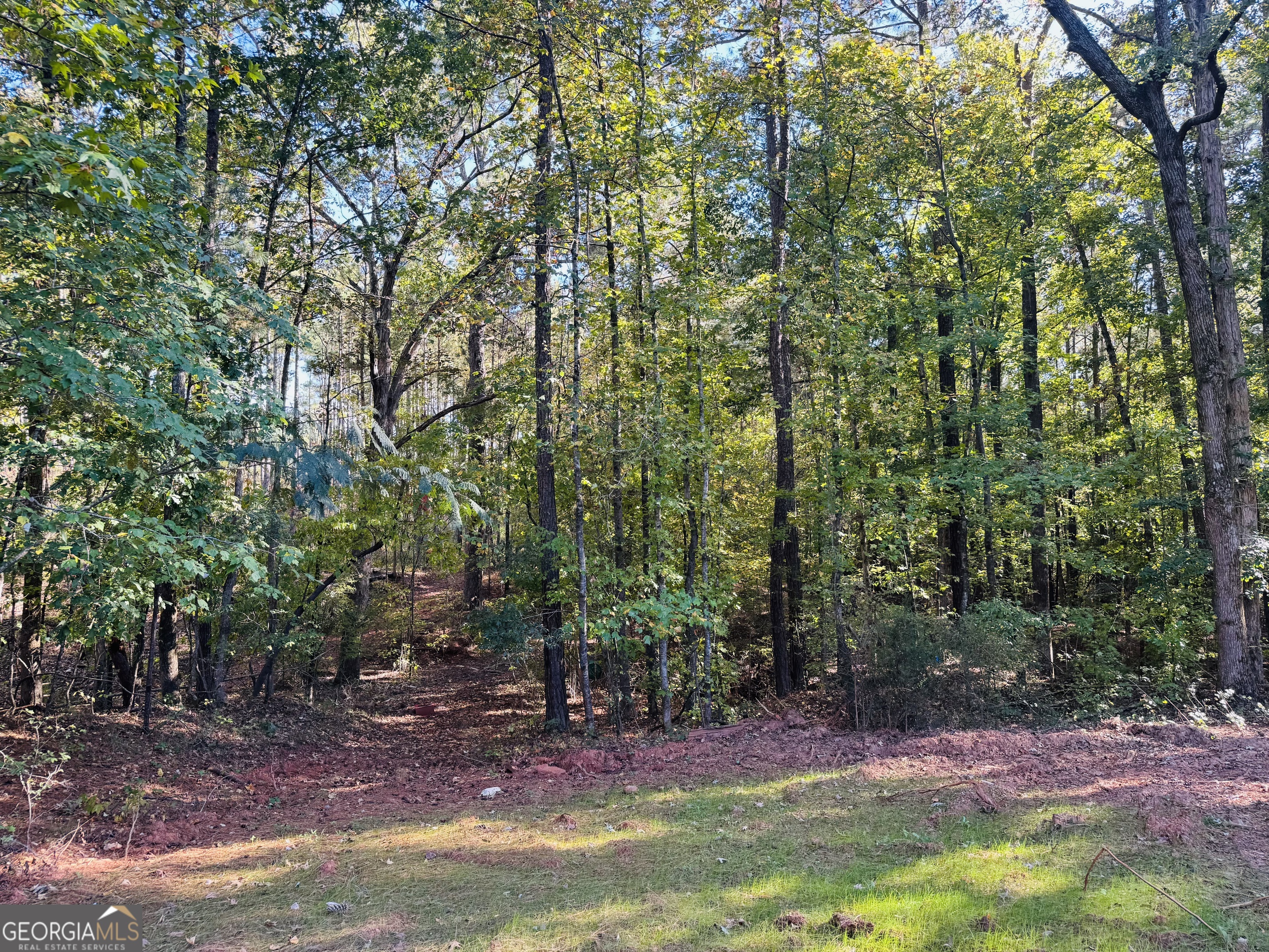 1516 Stark Road Property Photo 33
