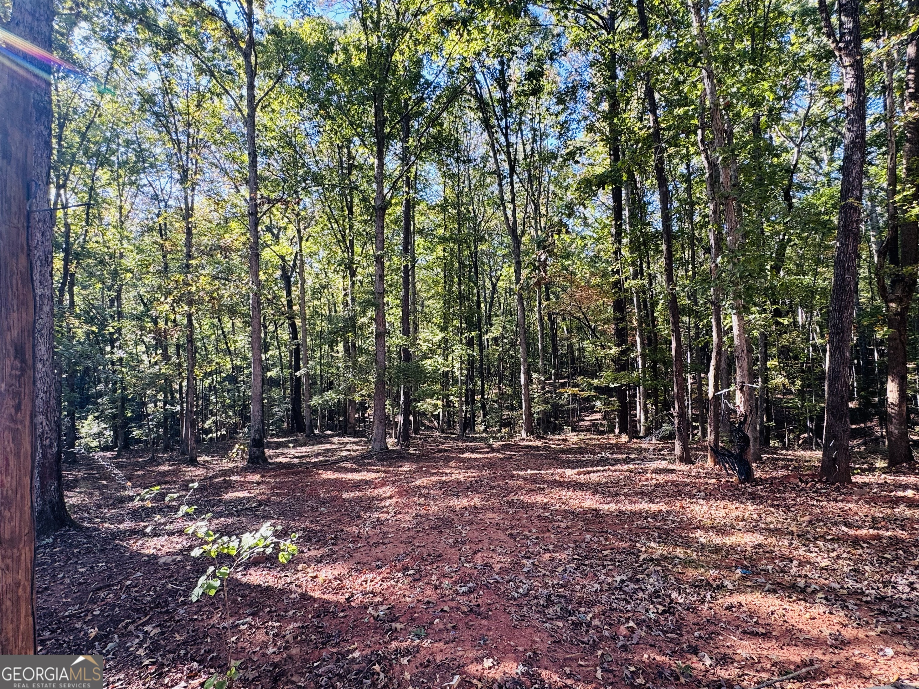 1516 Stark Road Property Photo 35