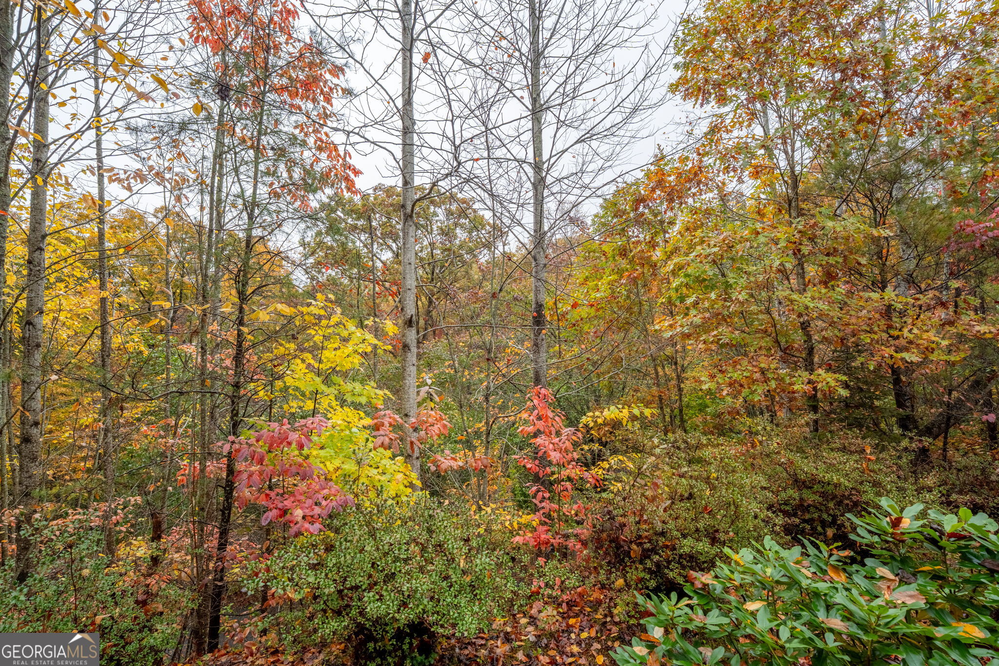1327 Pinnacle Drive Property Photo 42