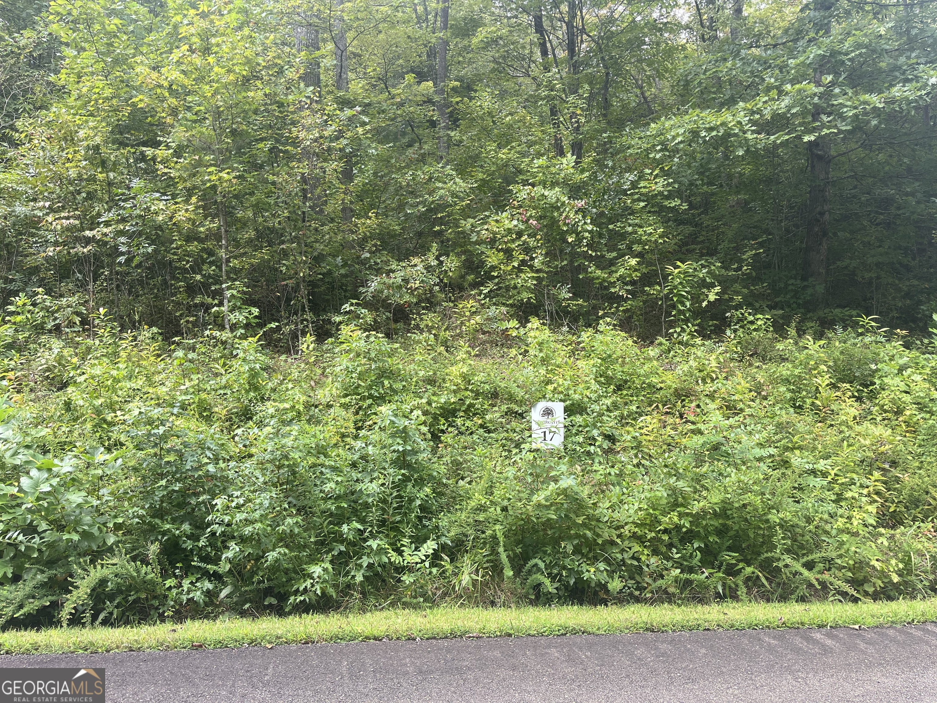 Lot 17 Staurolite Mountain Drive Property Photo 1