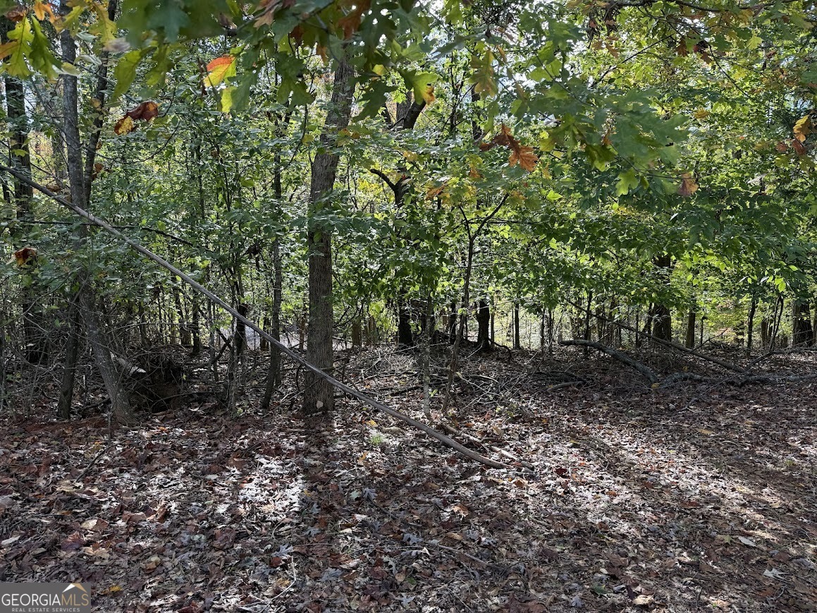 0 Oak Shore Court Property Photo 7