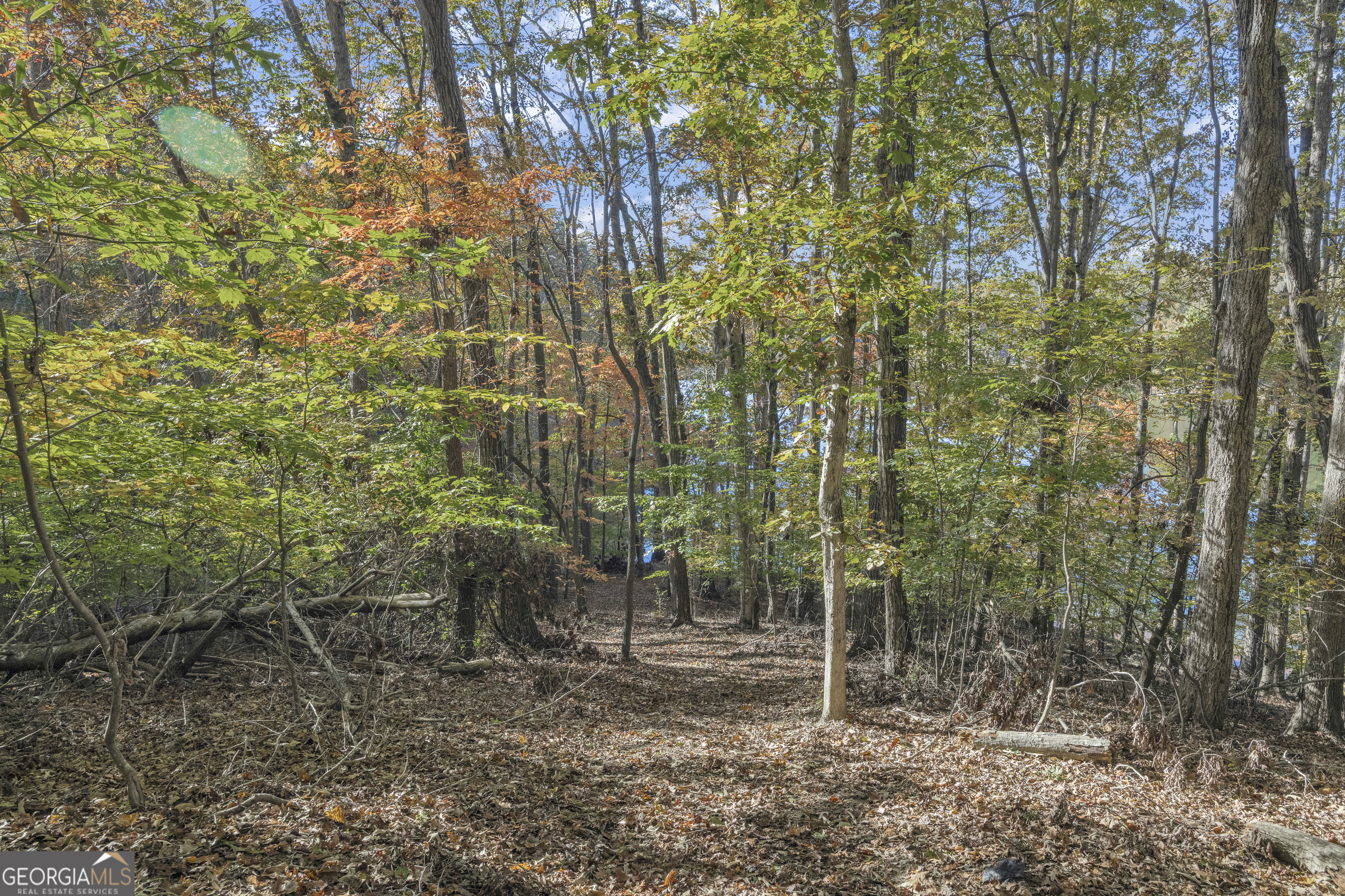 0 Oak Shore Court Property Photo 28