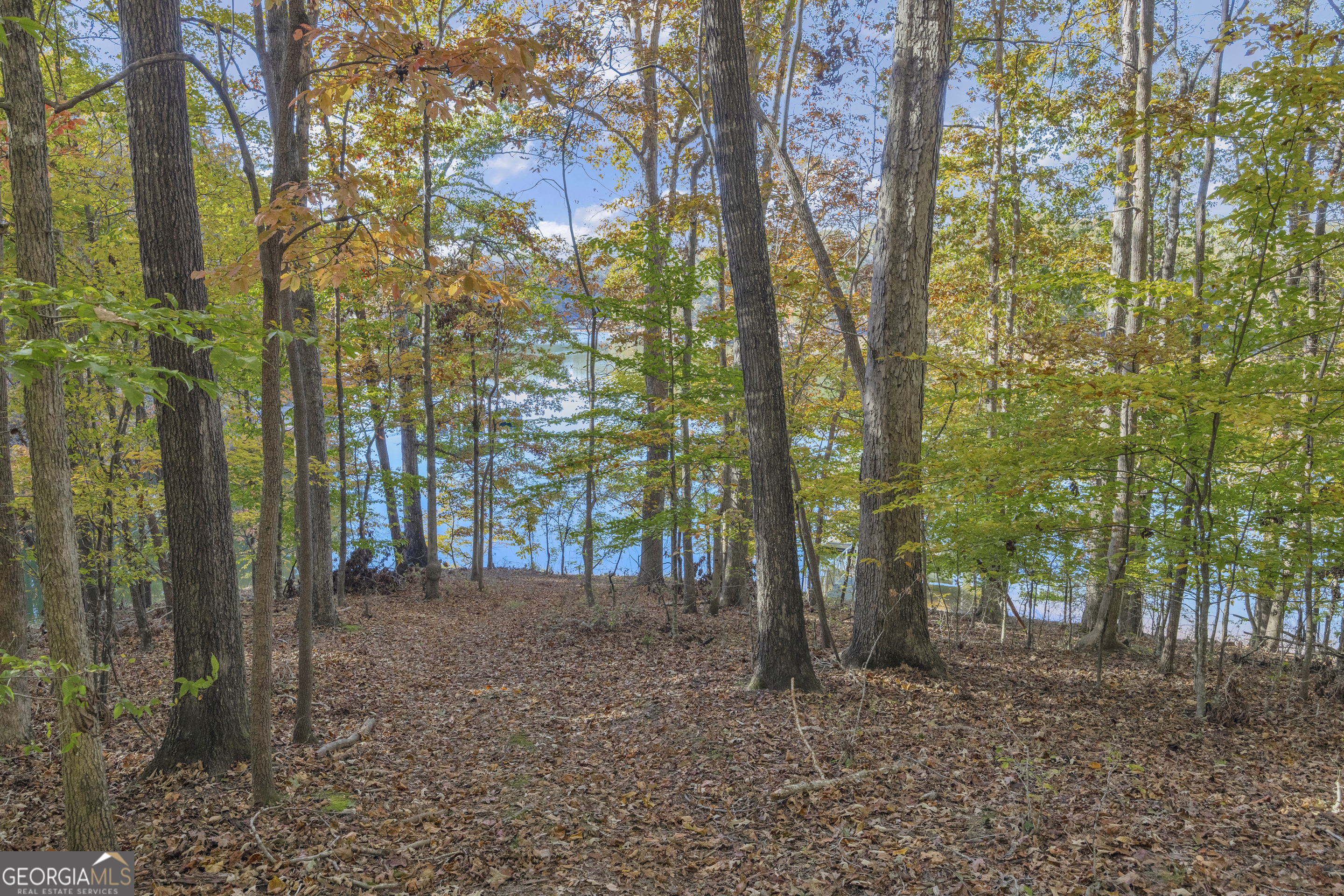0 Oak Shore Court Property Photo 29