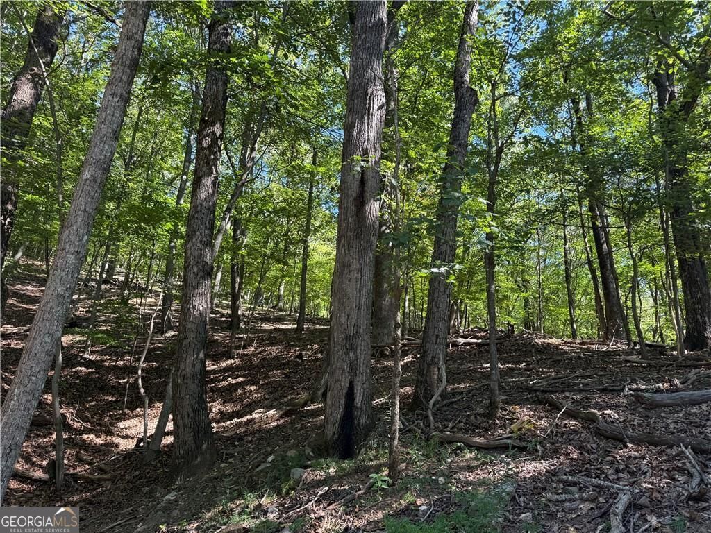 0 Moss Patch Property Photo 3