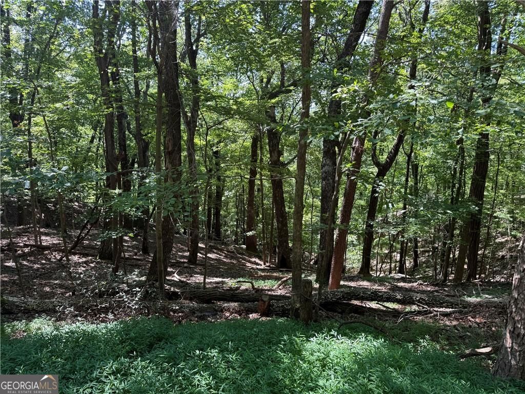 0 Moss Patch Property Photo 4