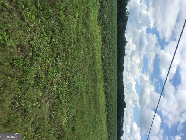 0 Us Highway 301 Property Photo 3