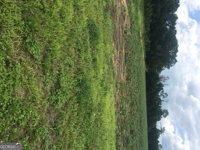 0 Us Highway 301 Property Photo 4