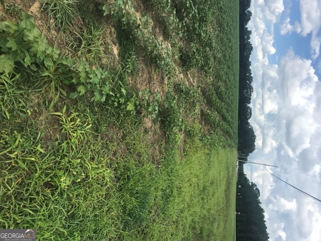 0 Us Highway 301 Property Photo 5