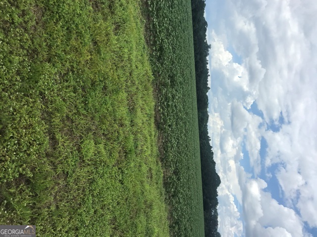 0 Us Highway 301 Property Photo 6
