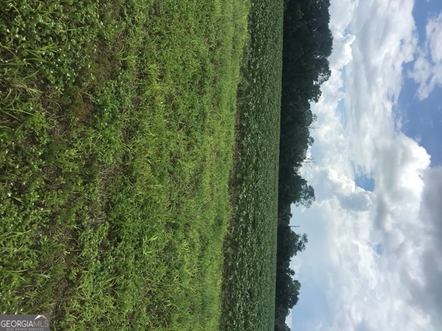 0 Us Highway 301 Property Photo 8