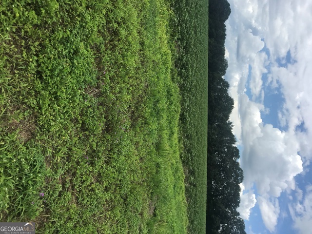 0 Us Highway 301 Property Photo 10