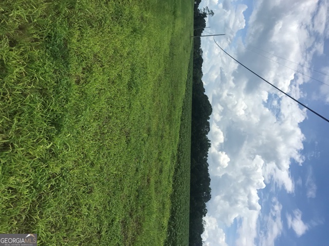0 Us Highway 301 Property Photo 11