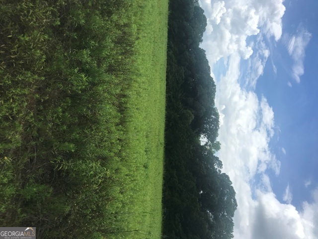 0 Us Highway 301 Property Photo 14