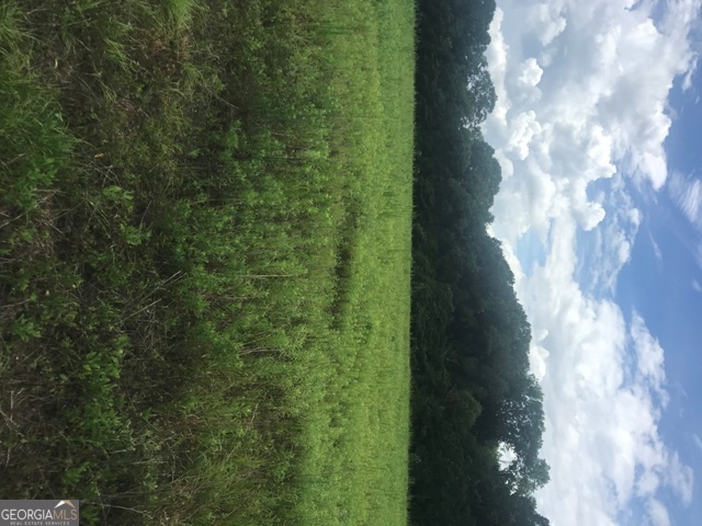0 Us Highway 301 Property Photo 16
