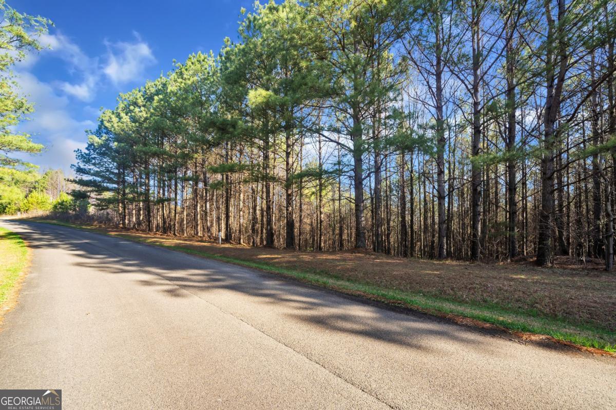 0 Foxpaw Leaf Lane # 38