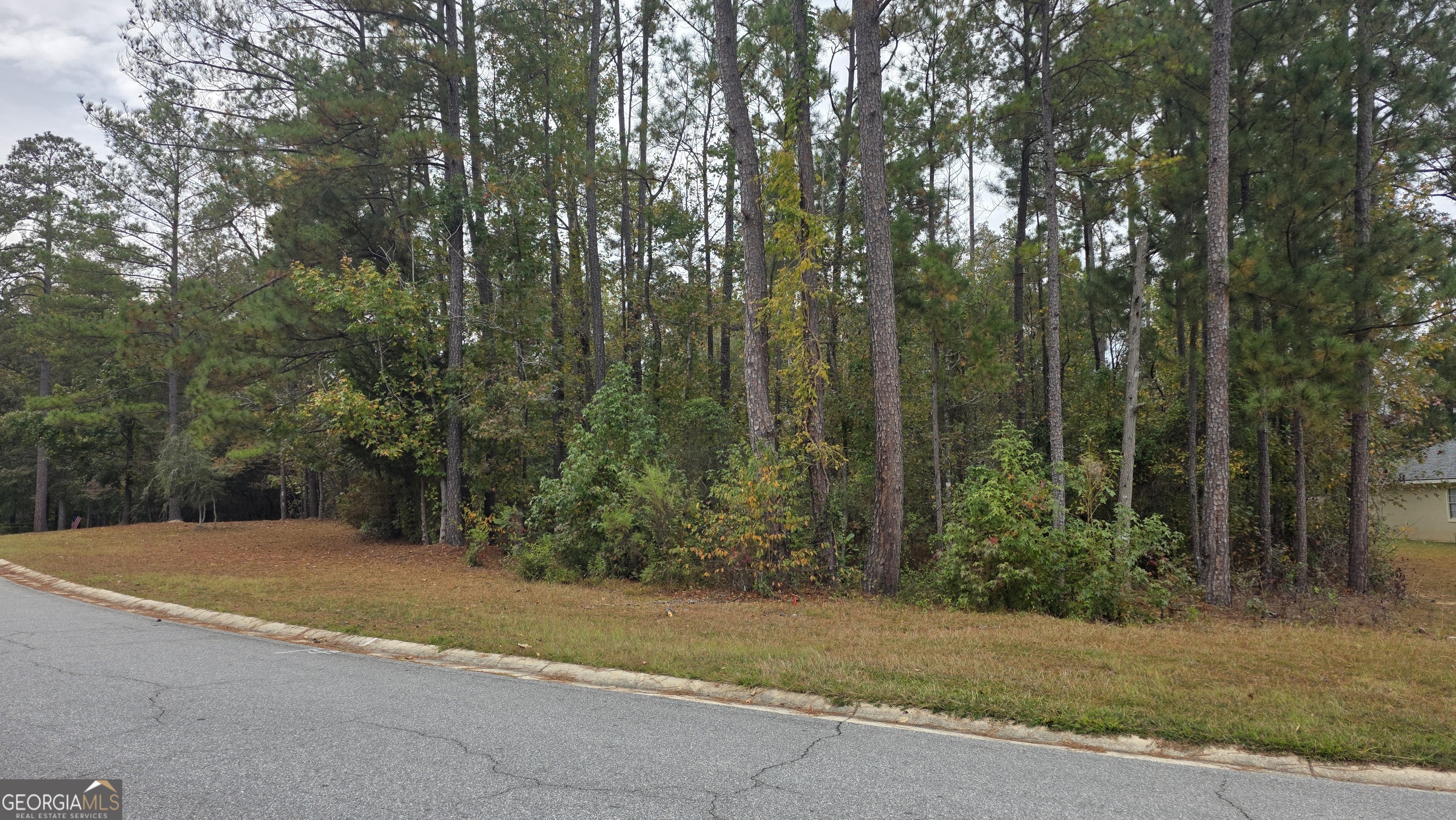 215 Falcon Crest Property Photo 3