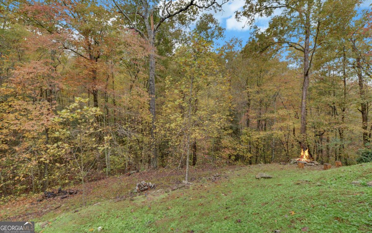 169 Wildwood Court Property Photo 41