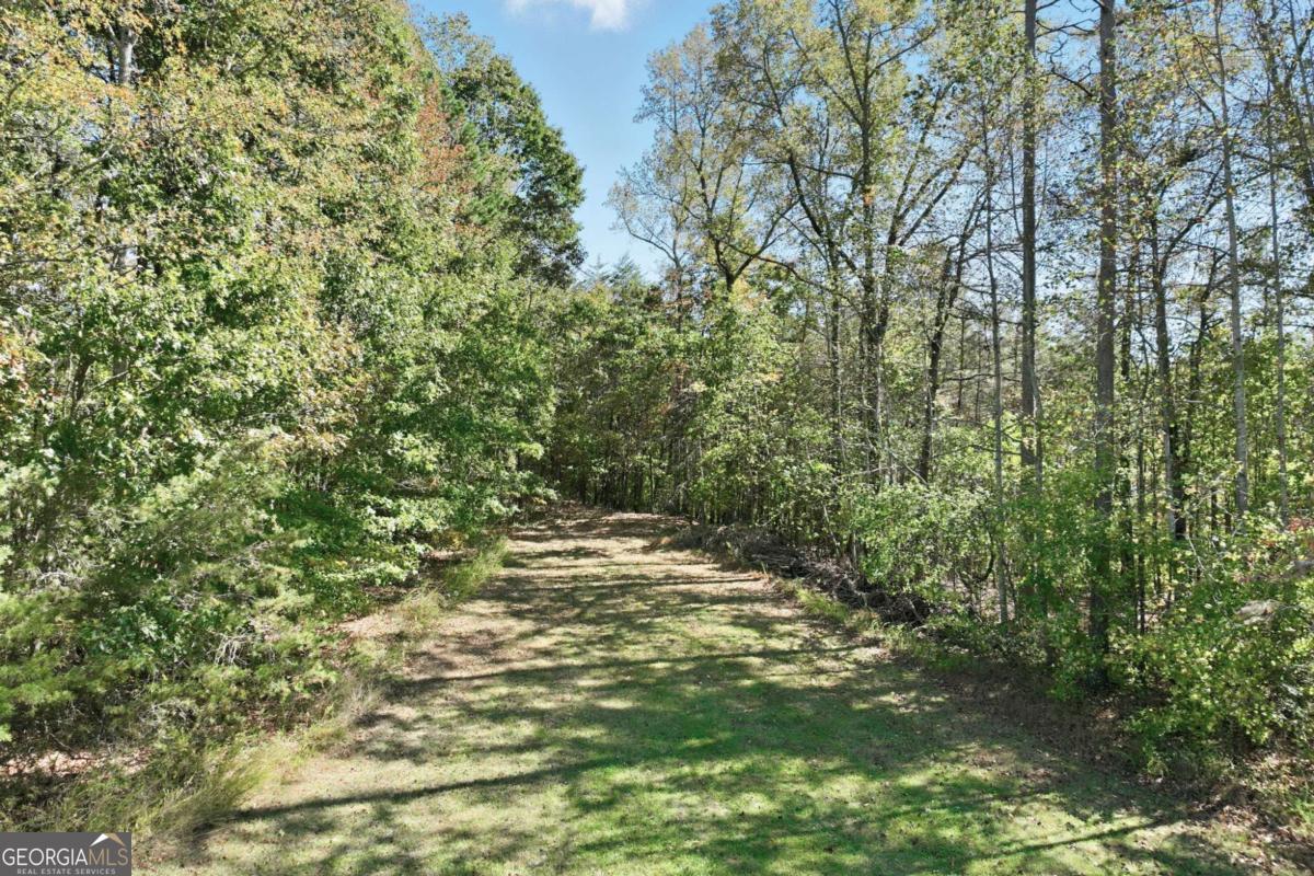 6752 Shoal Creek Road Property Photo 66