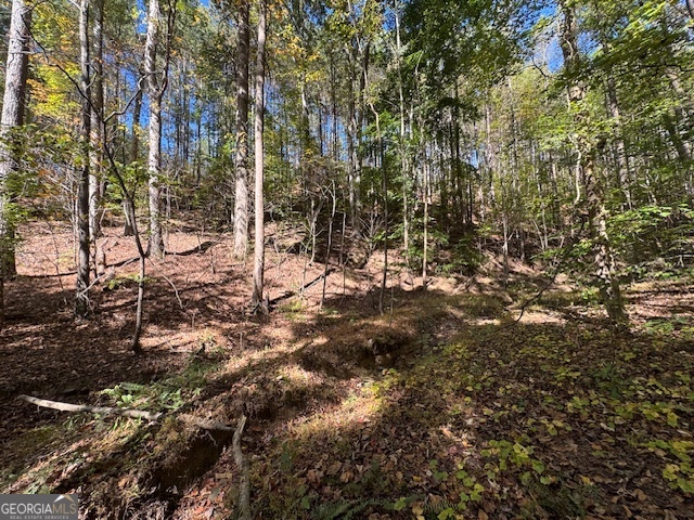 902 Pinyan Road Property Photo 33