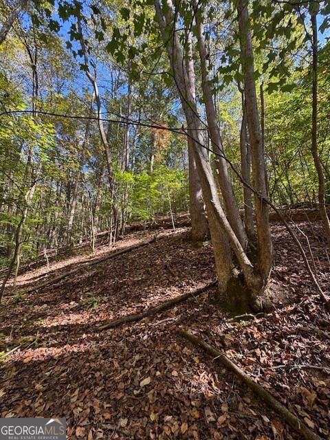 902 Pinyan Road Property Photo 34