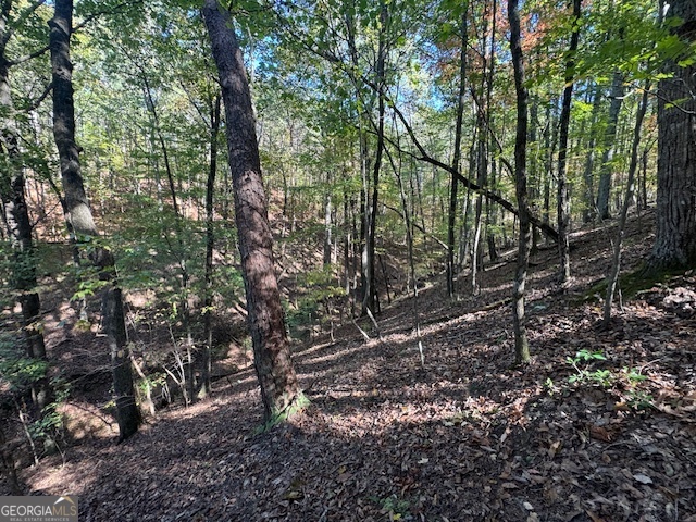 902 Pinyan Road Property Photo 40