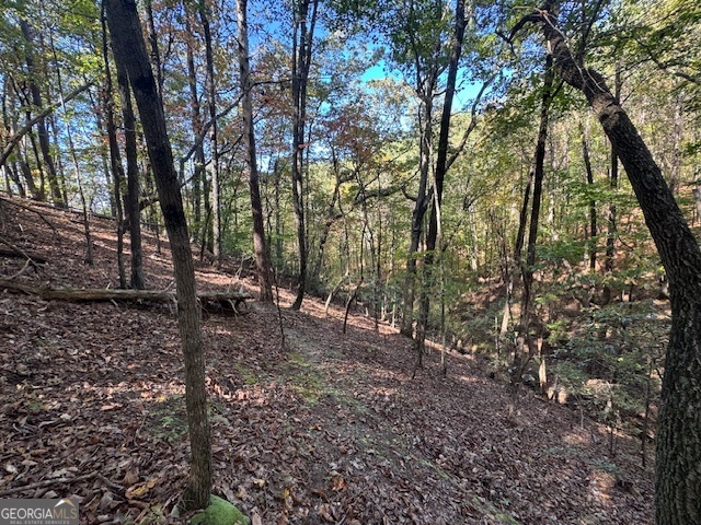902 Pinyan Road Property Photo 41