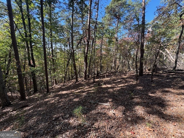 902 Pinyan Road Property Photo 44