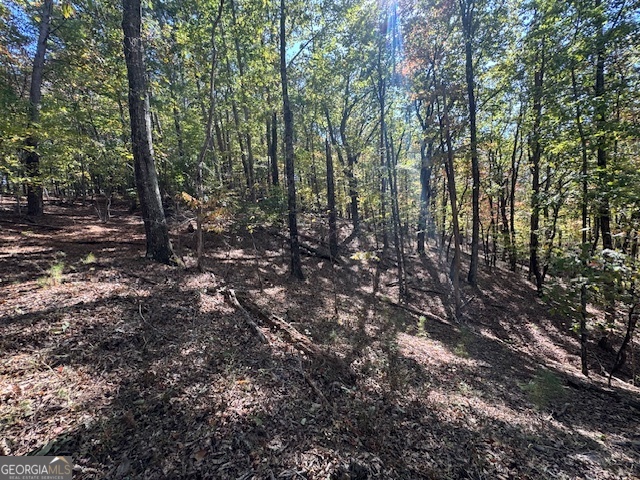 902 Pinyan Road Property Photo 45
