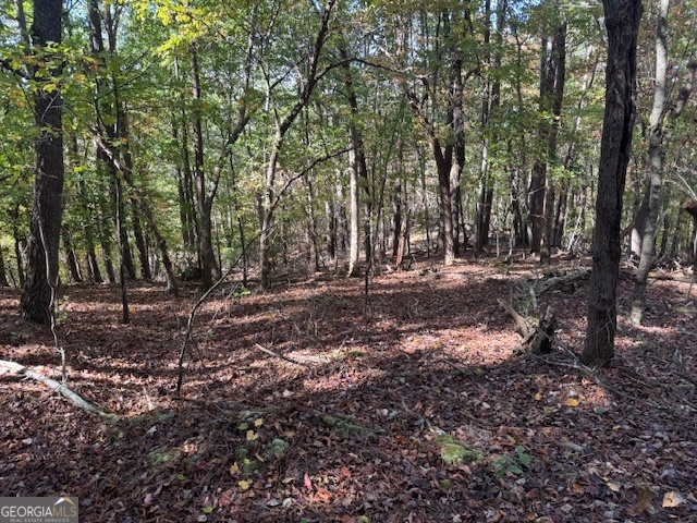 902 Pinyan Road Property Photo 47