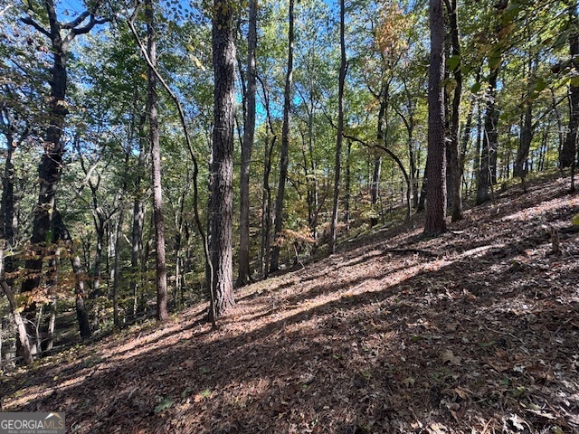 902 Pinyan Road Property Photo 48