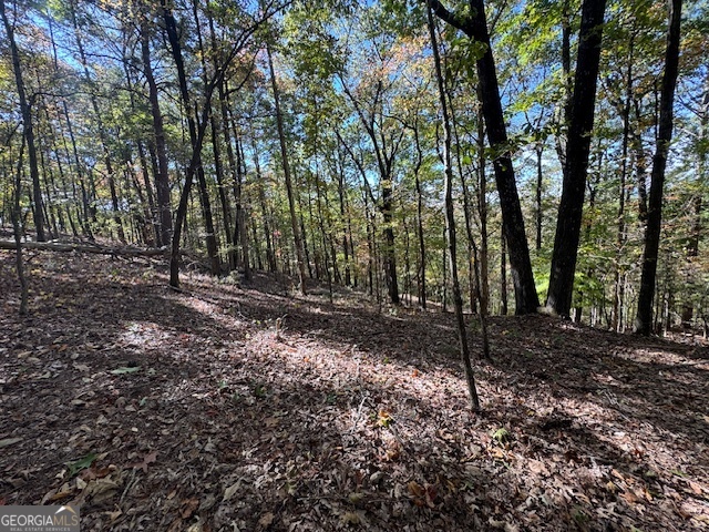 902 Pinyan Road Property Photo 49