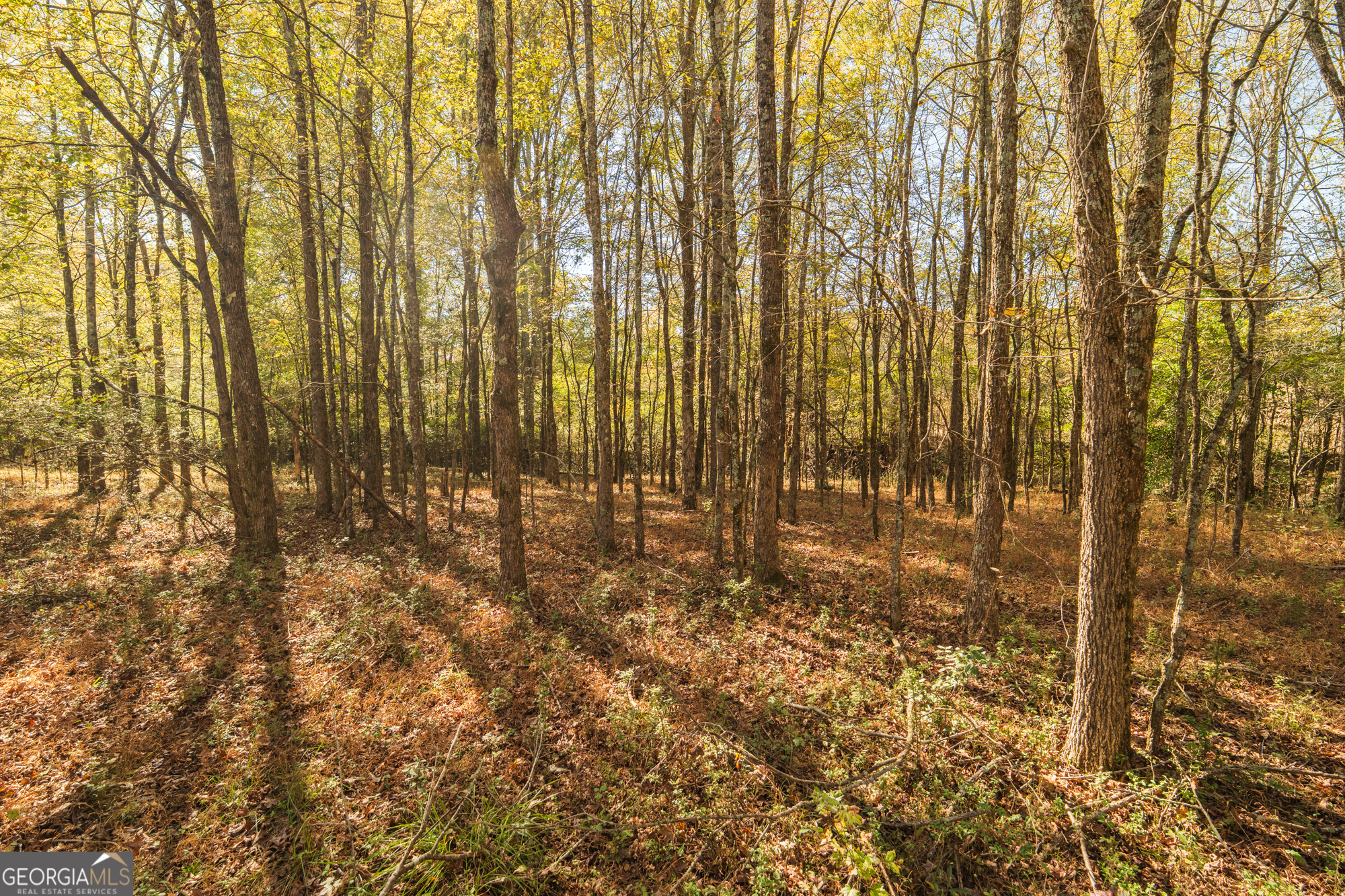 724 Teamon Road Property Photo 49