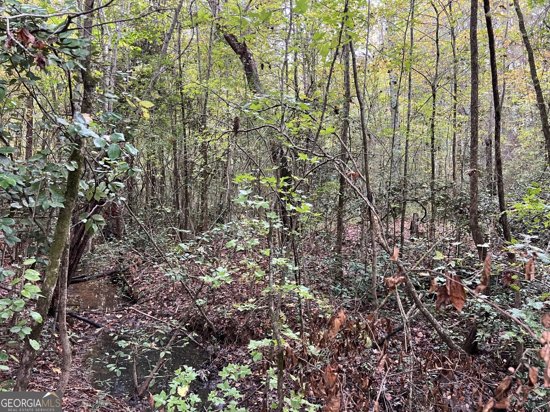 0 Clinton Crossing Property Photo 1