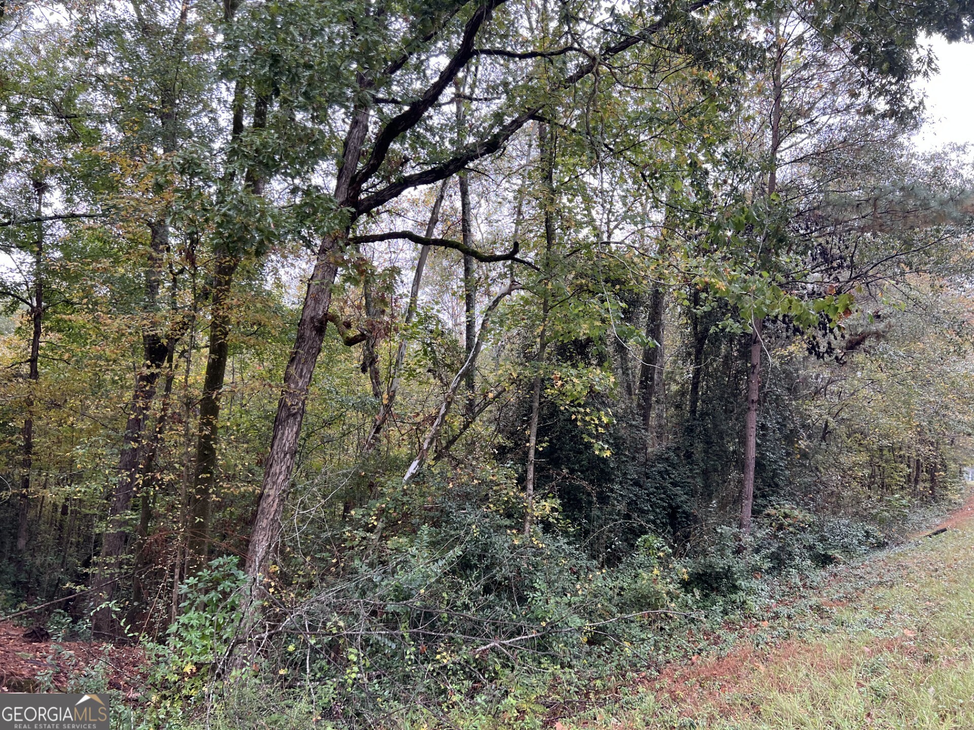 0 Clinton Crossing Property Photo 3