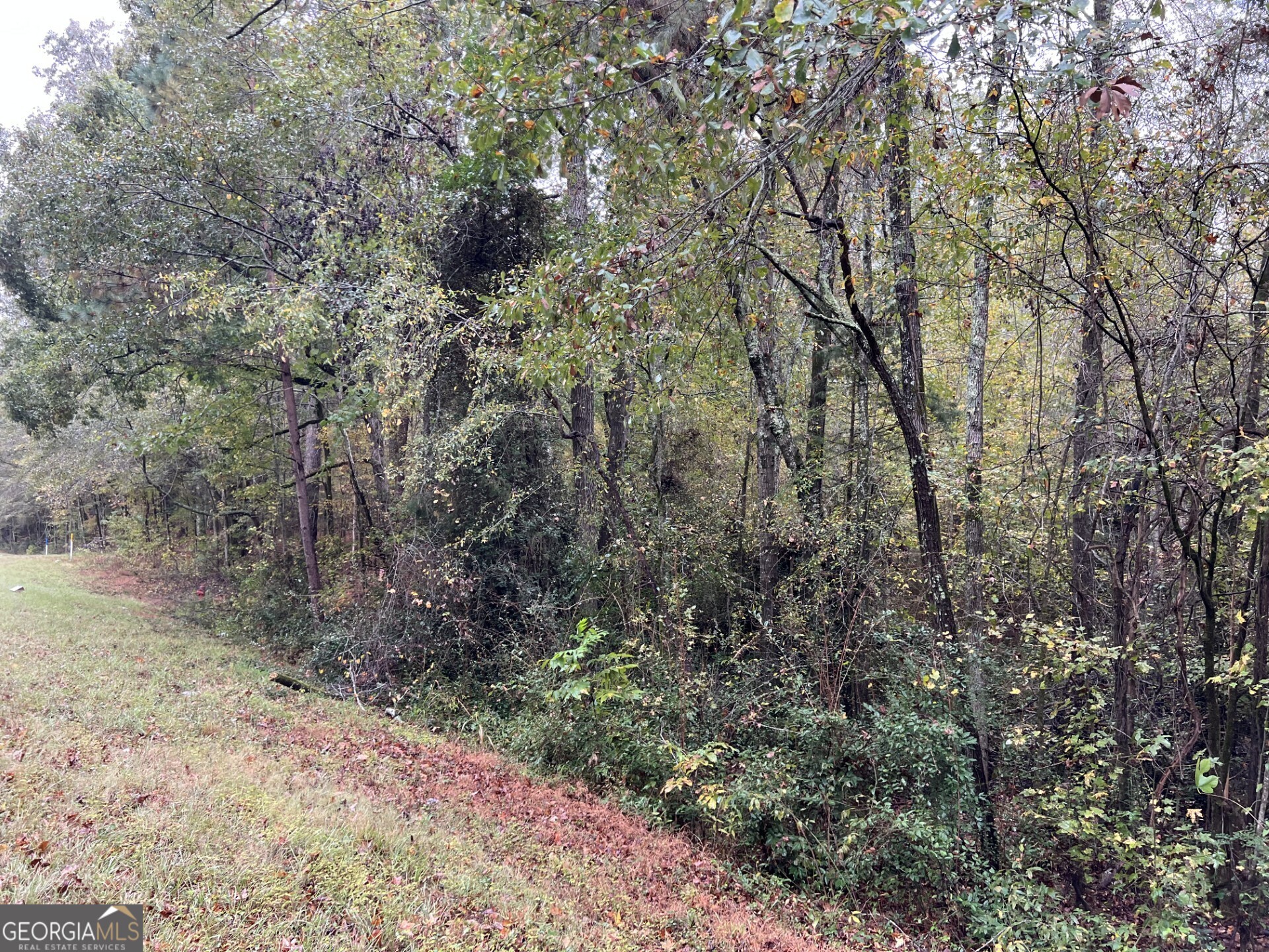 0 Clinton Crossing Property Photo 4